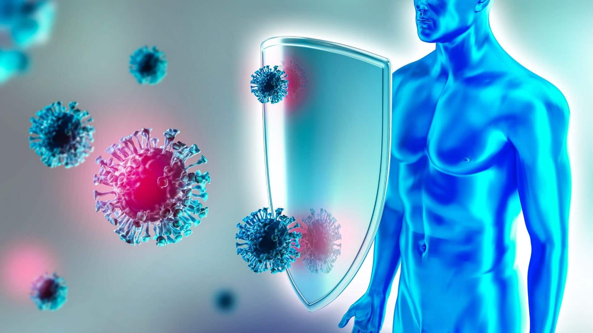 se dormi e non soffri di insonnia il tuo sistema immunitario ringrazia